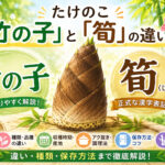 竹の子と筍の違い